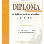 DILOMA_SA_VELIKOM_ZLATNOM_MRDALJOM_NOVOSDOG__SAJAMA__2001